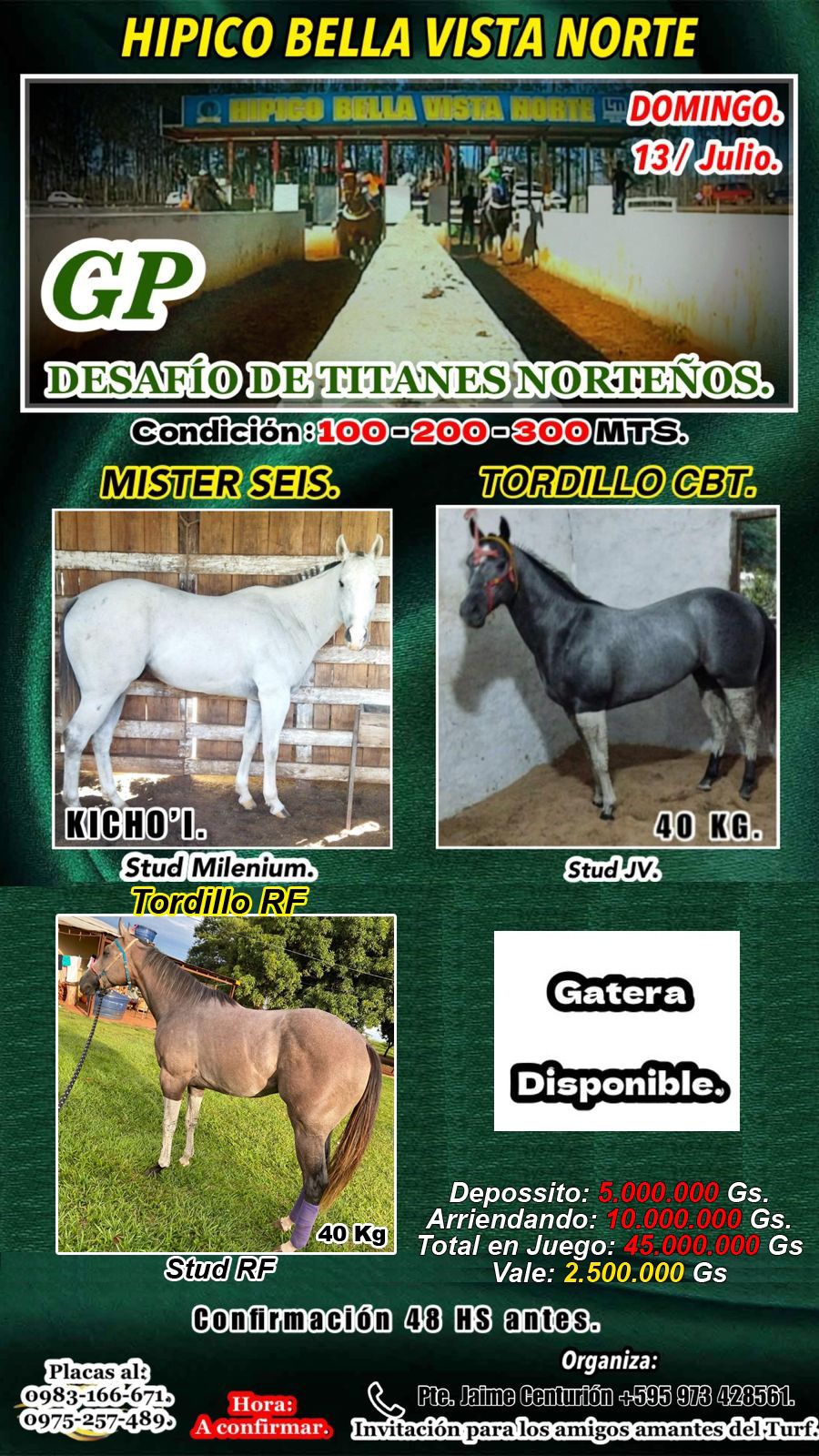 WhatsApp Image 2025-07-09 at 11.41.53