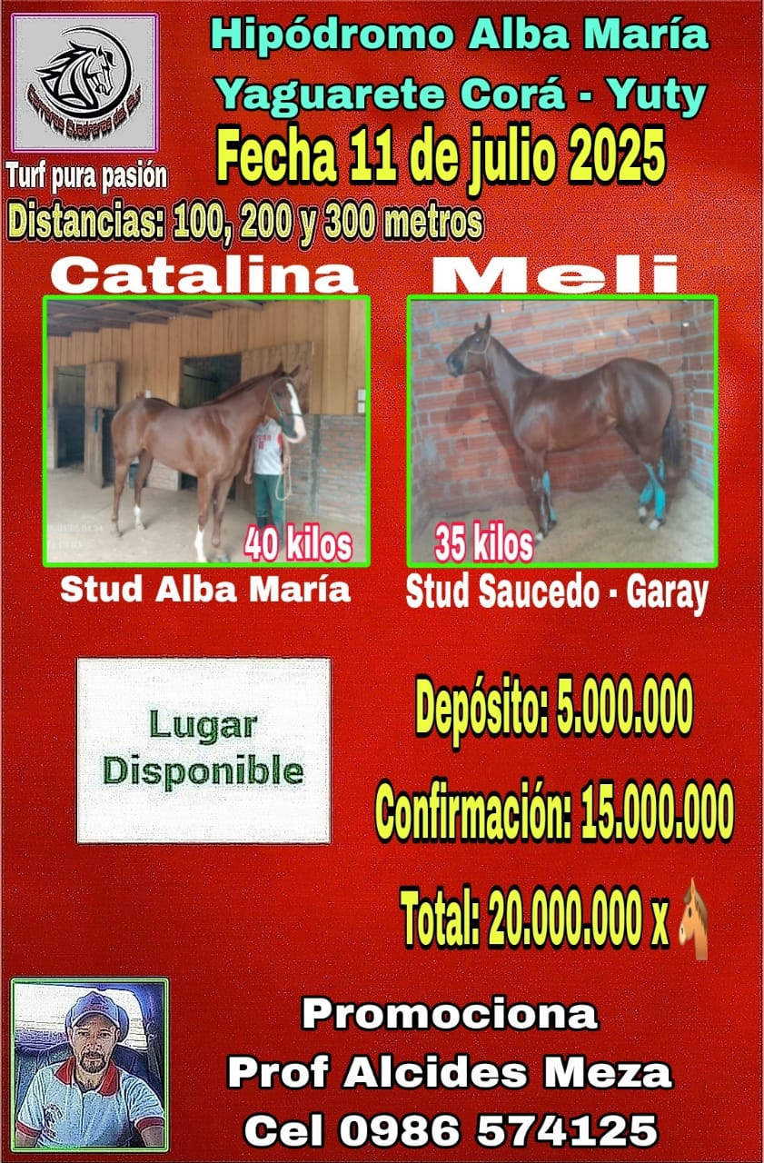 WhatsApp Image 2025-07-11 at 11.10.23