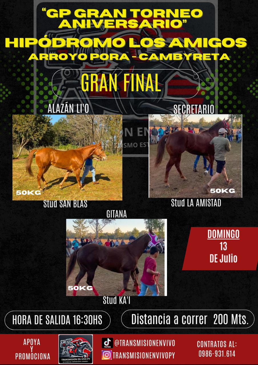 WhatsApp Image 2025-07-12 at 18.55.02 (1)