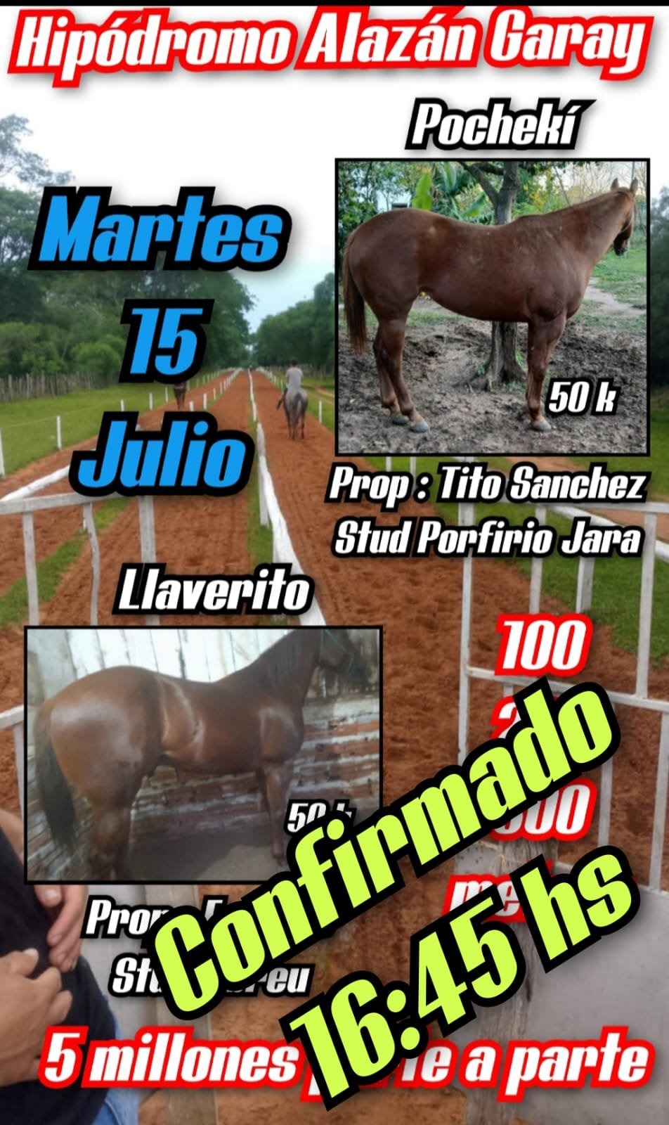 WhatsApp Image 2025-07-14 at 20.36.55