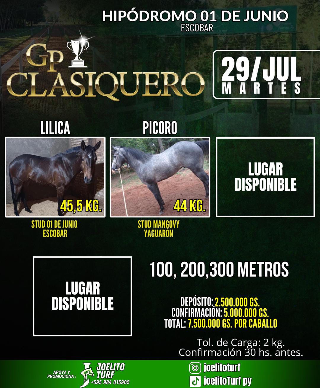 WhatsApp Image 2025-07-16 at 19.04.31