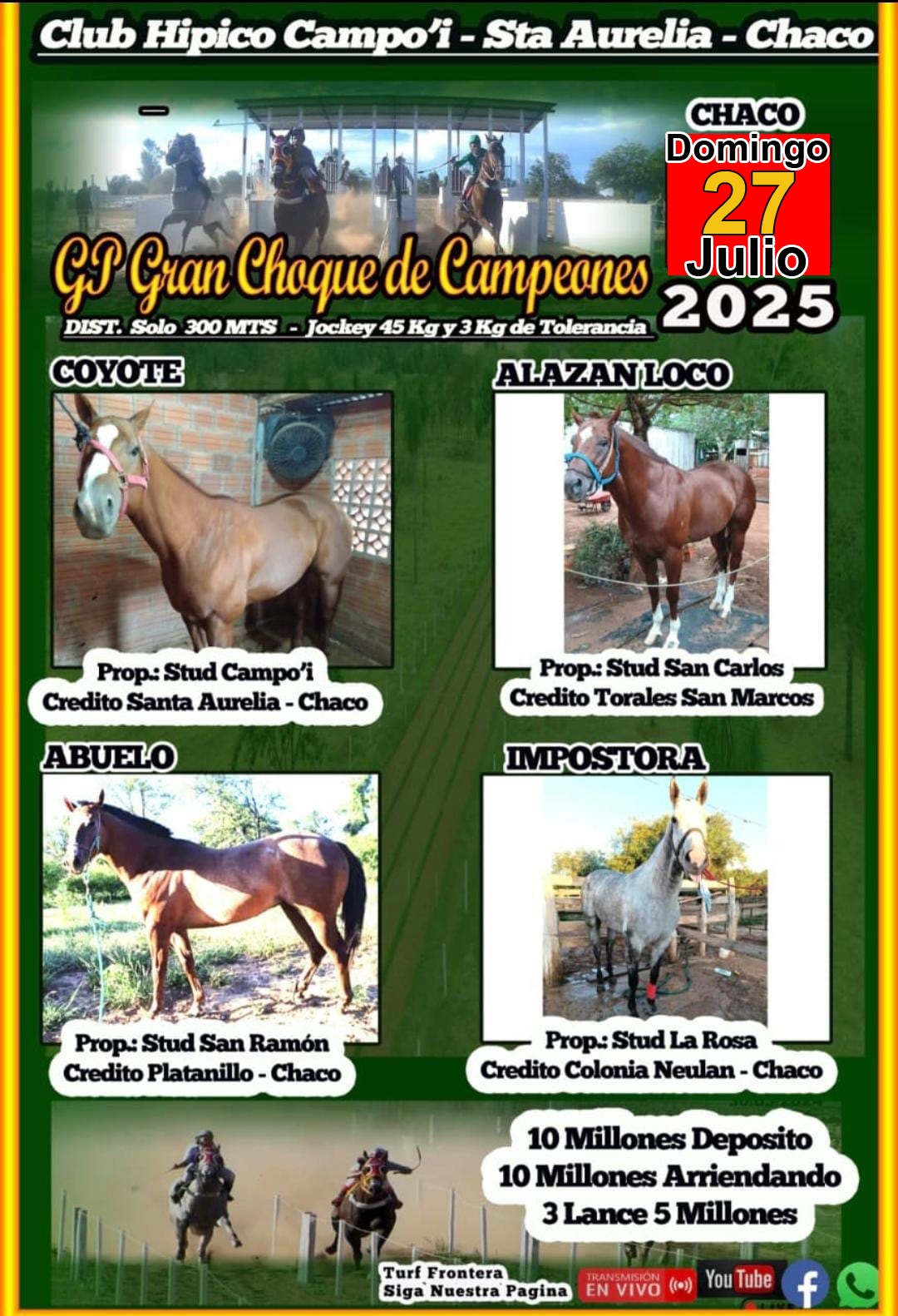 WhatsApp Image 2025-07-17 at 08.56.46 (1)