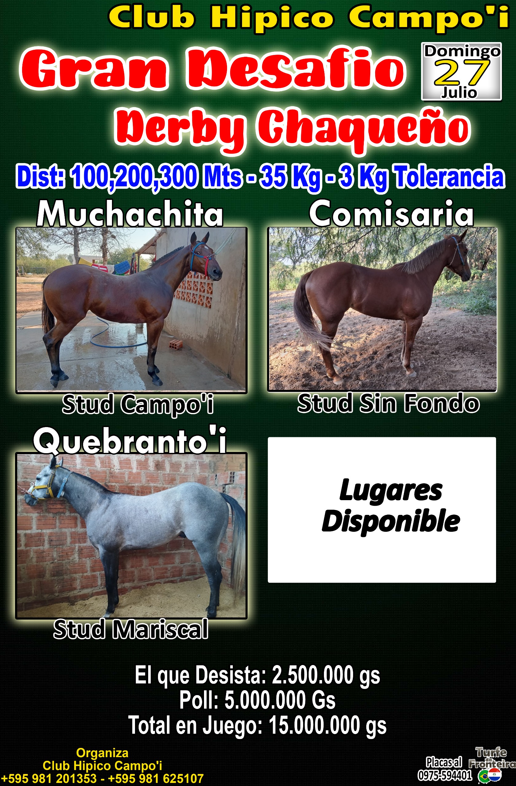 WhatsApp Image 2025-07-17 at 08.56.46