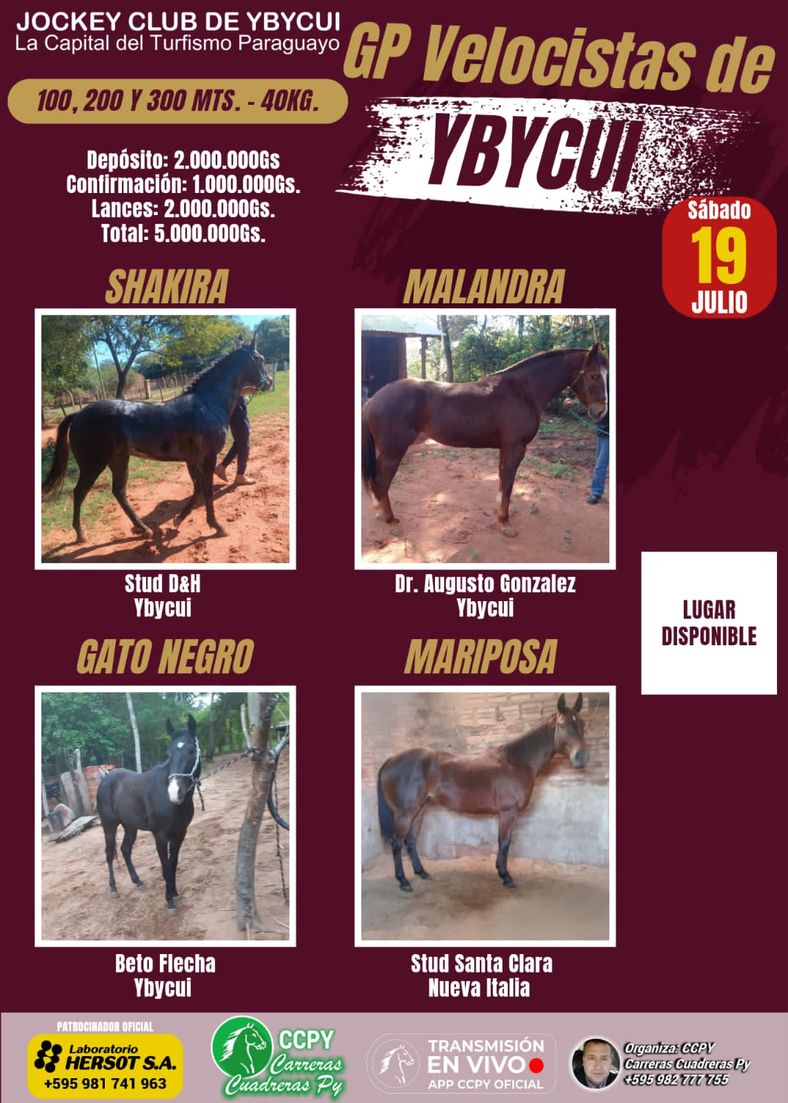 WhatsApp Image 2025-07-18 at 19.30.21