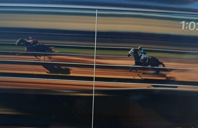 WhatsApp Image 2025-07-20 at 16.08.28 (1)