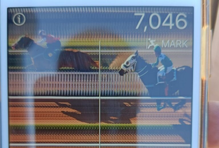 WhatsApp Image 2025-07-20 at 16.08.28