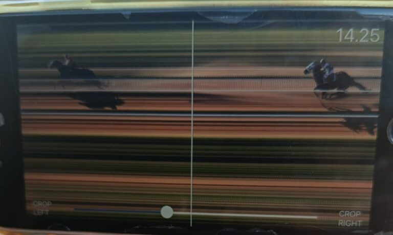 WhatsApp Image 2025-07-20 at 16.08.29