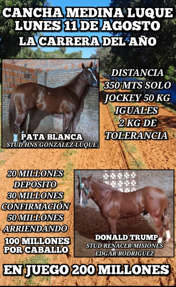 WhatsApp Image 2025-07-20 at 22.15.53