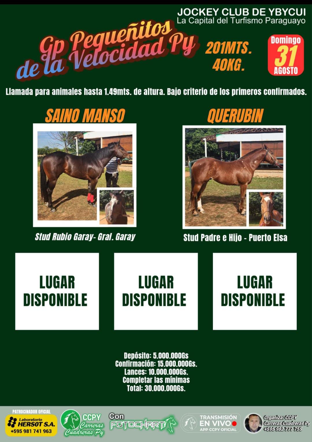 WhatsApp Image 2025-07-21 at 16.59.51