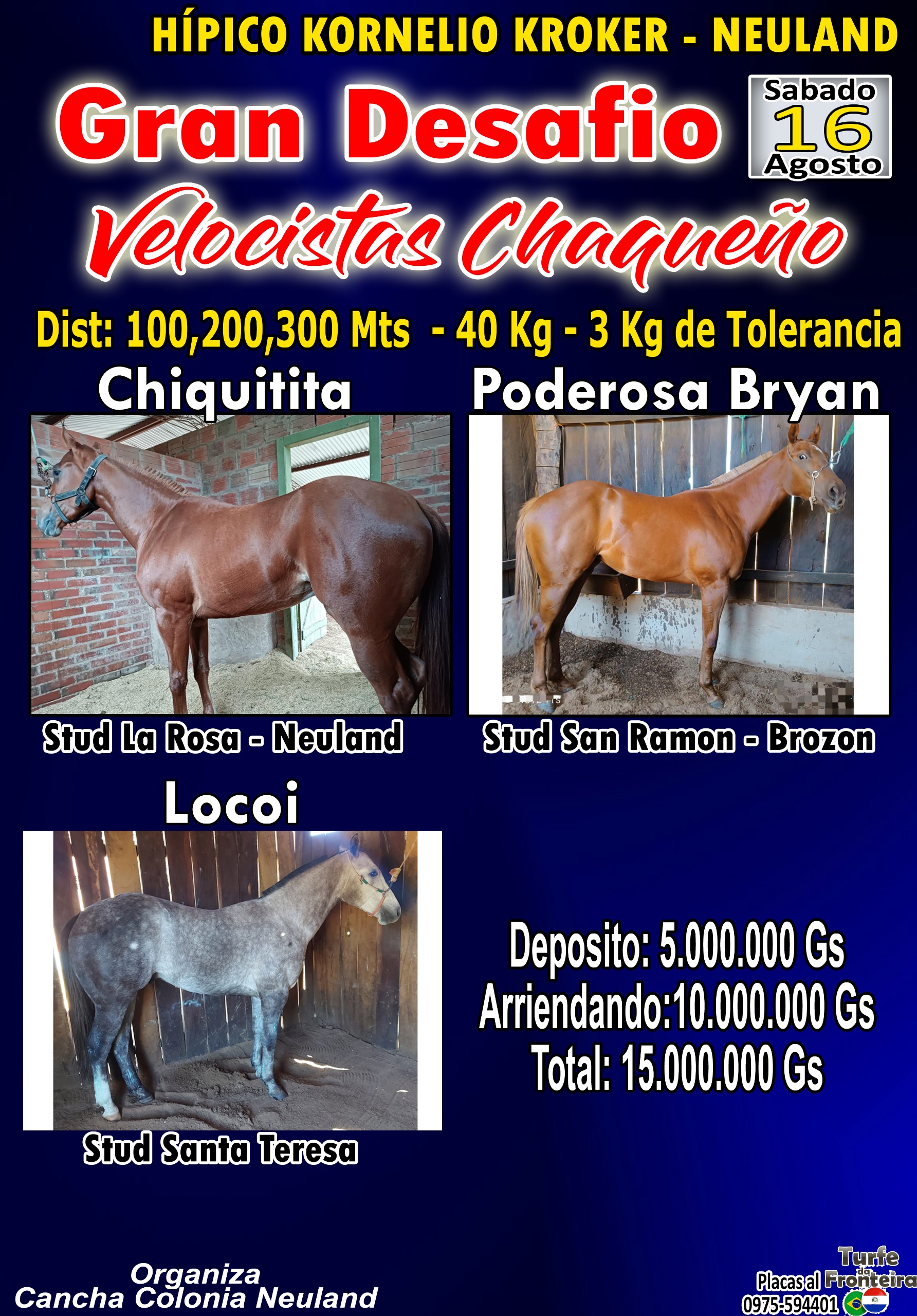 WhatsApp Image 2025-07-21 at 20.24.01