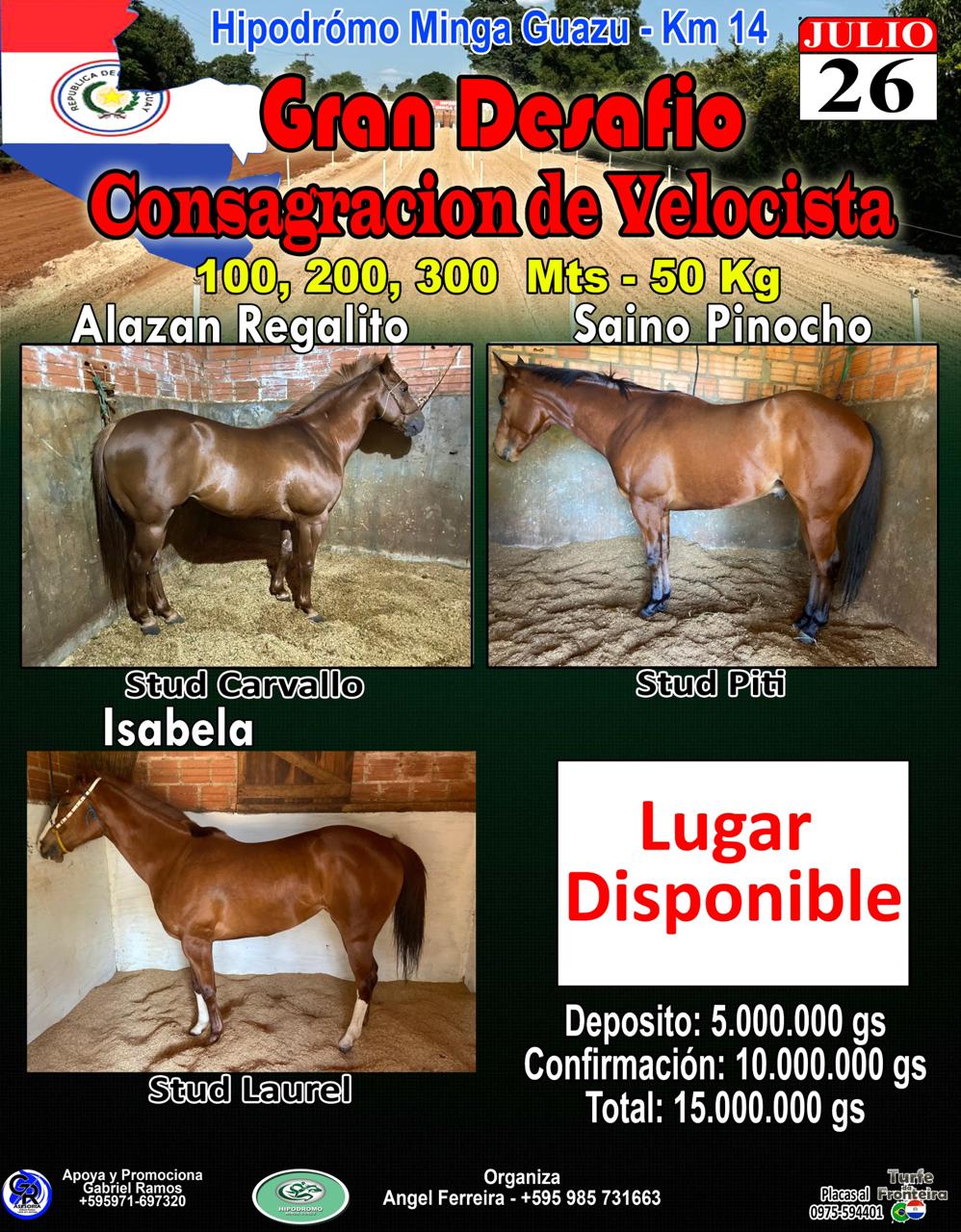 WhatsApp Image 2025-07-22 at 07.13.55