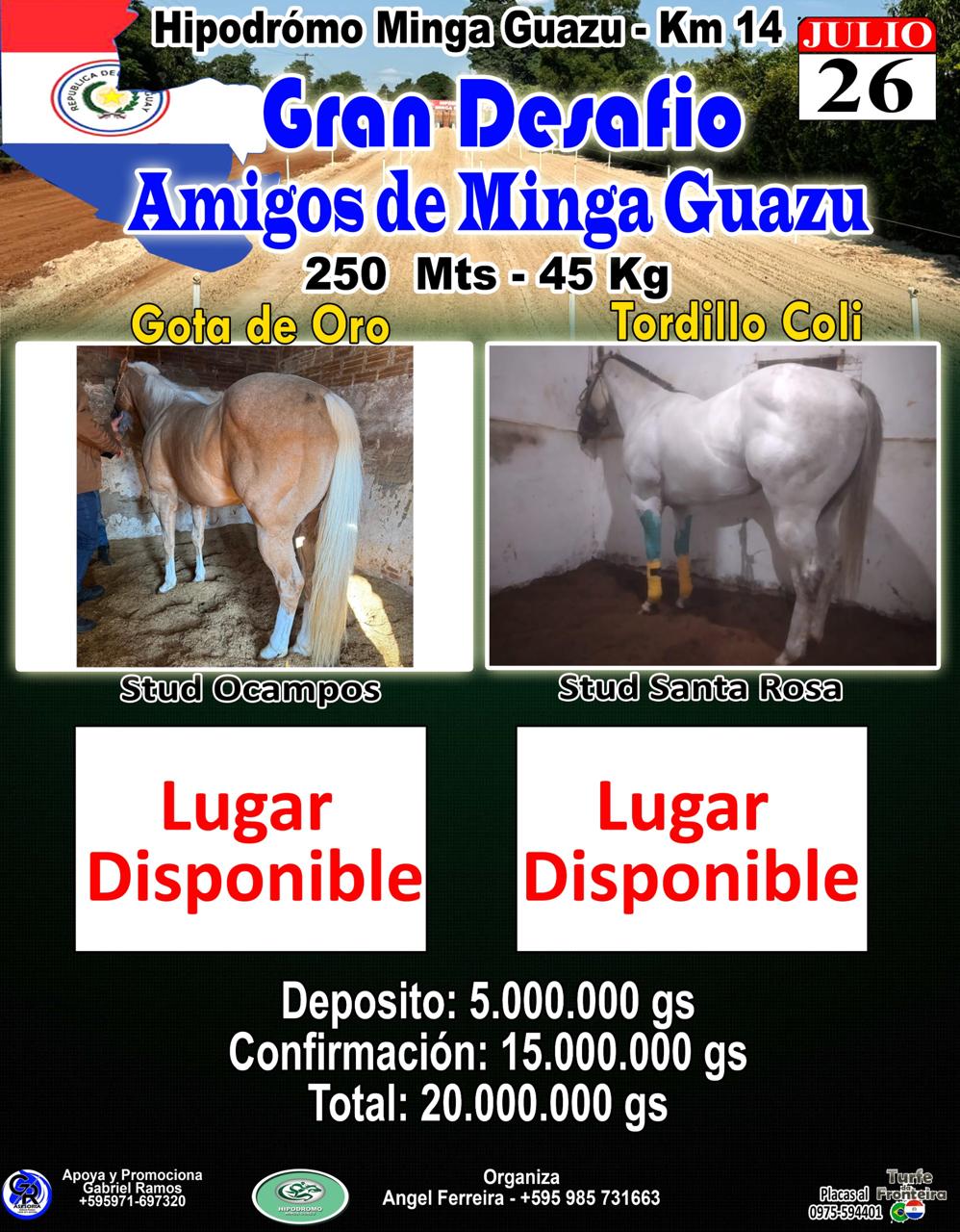 WhatsApp Image 2025-07-22 at 07.13.56