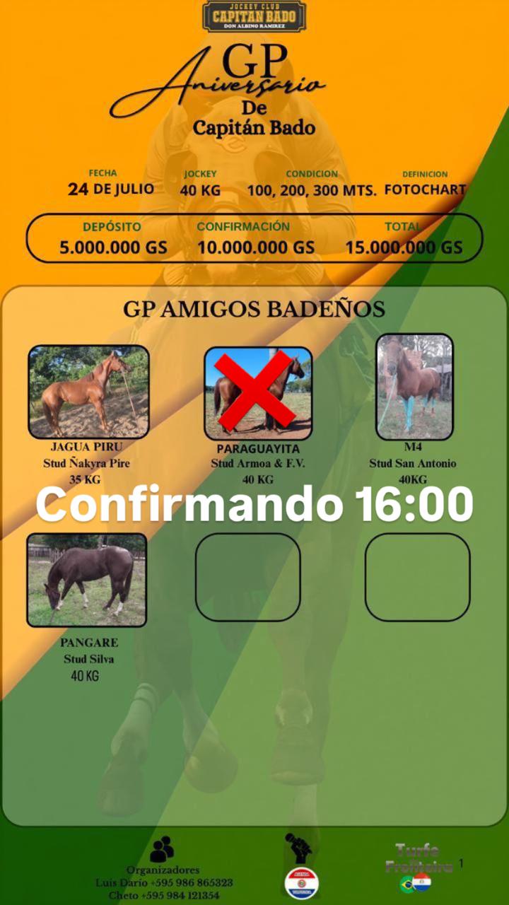 WhatsApp Image 2025-07-29 at 17.53.51