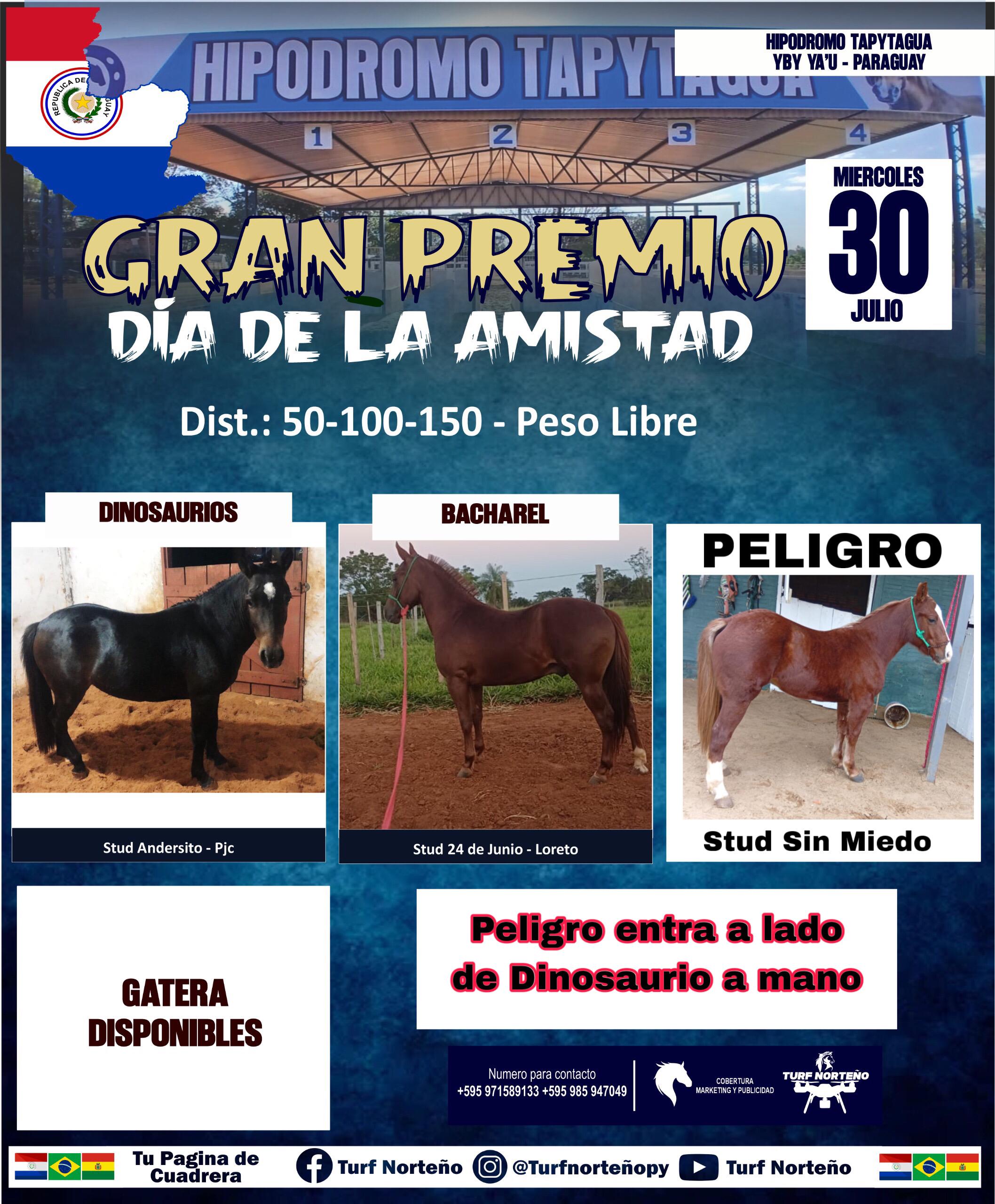 WhatsApp Image 2025-07-29 at 21.00.10