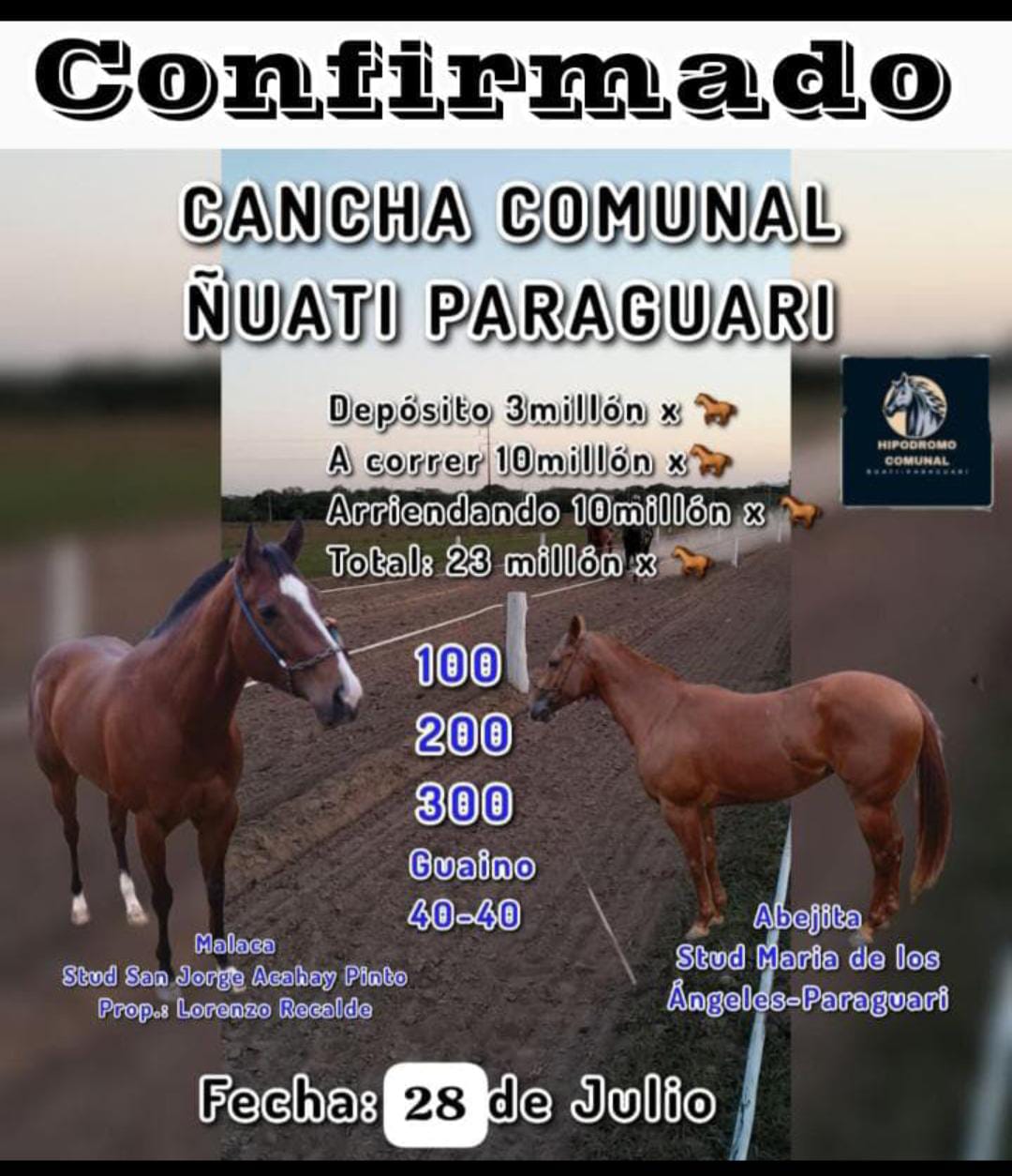 WhatsApp Image 2025-07-31 at 11.13.50