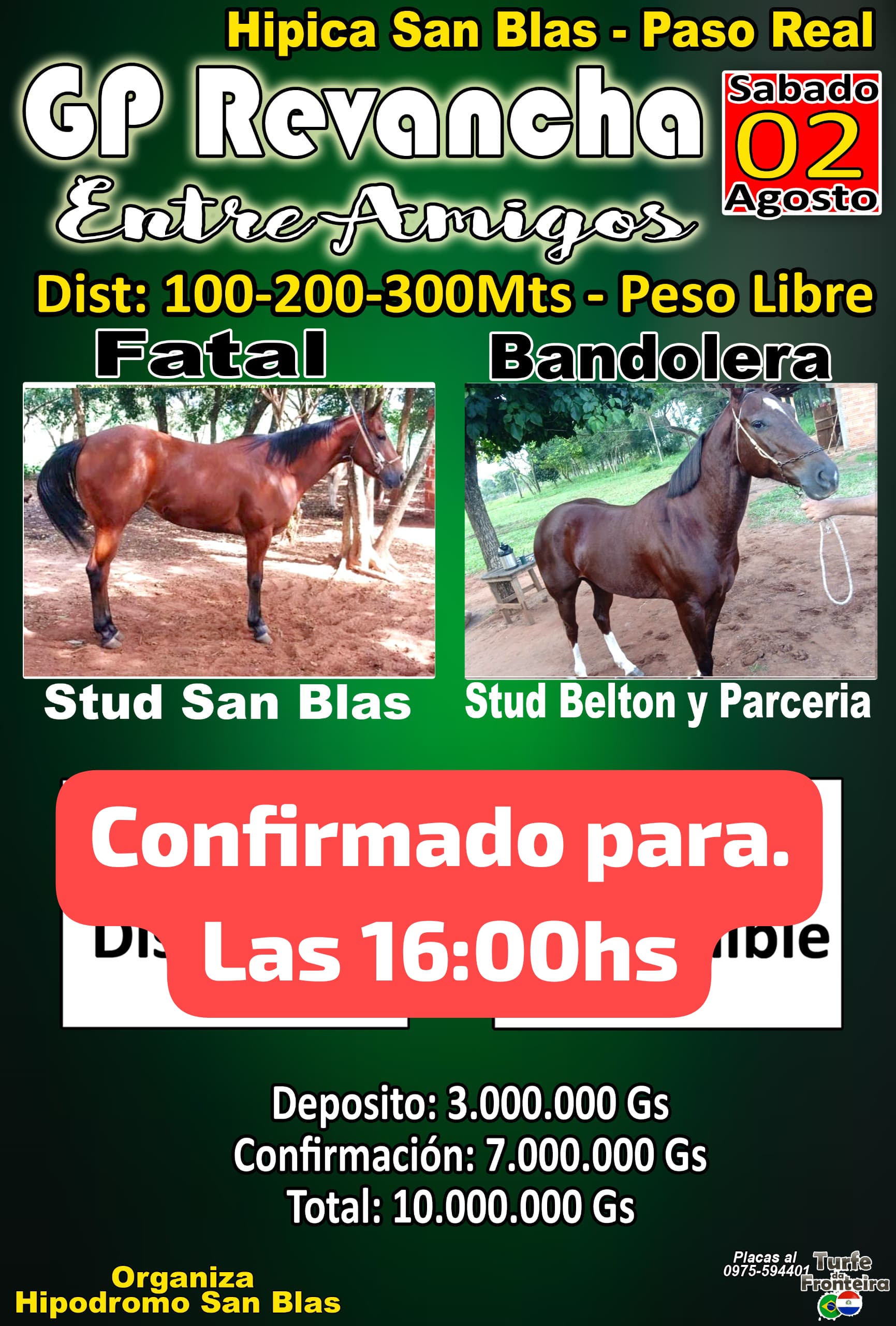 WhatsApp Image 2025-07-31 at 14.18.16