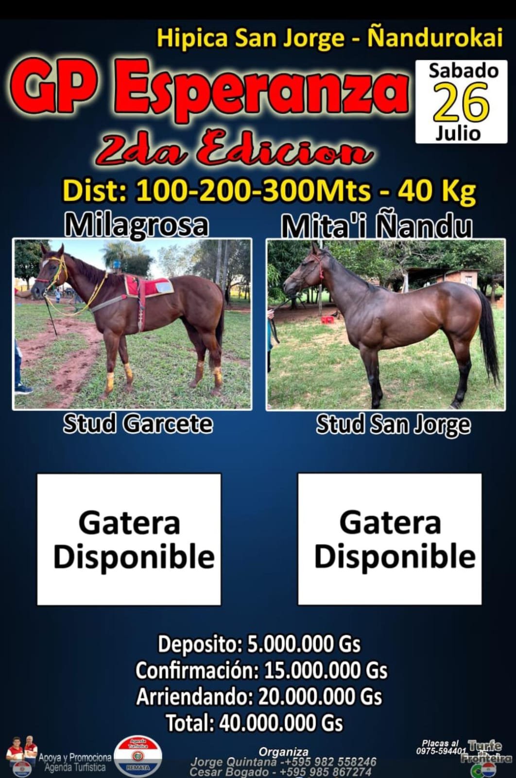 c55d918a-cf42-4d57-9994-b43eb09939ce