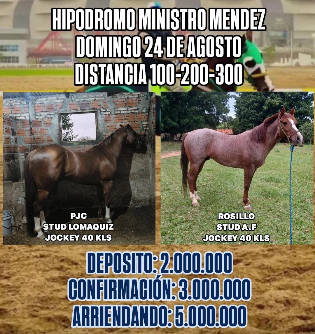 2f95b753-38da-4885-97bc-deac0830f3a3