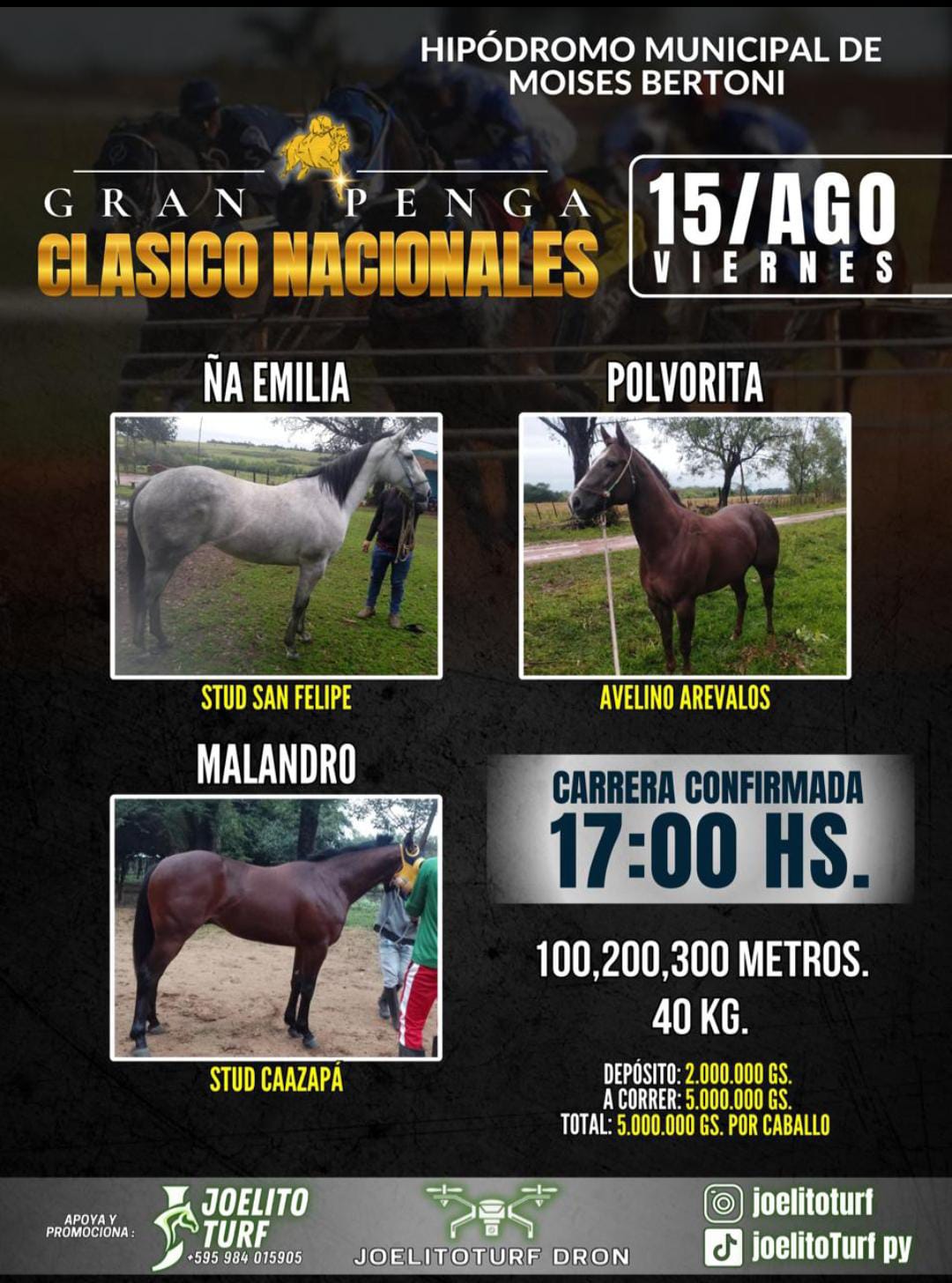 Imagen de WhatsApp 2025-08-13 a las 17.13.38_43a4916c