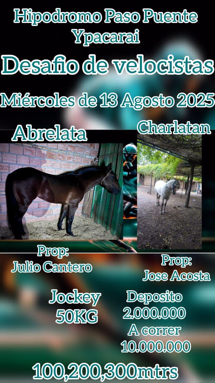 WhatsApp Image 2025-08-12 at 16.08.36