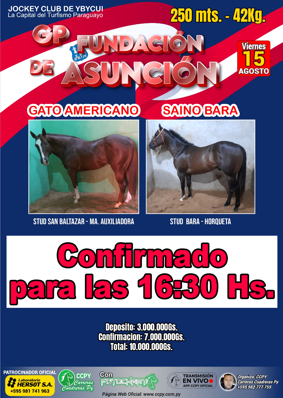 WhatsApp Image 2025-08-14 at 15.13.56