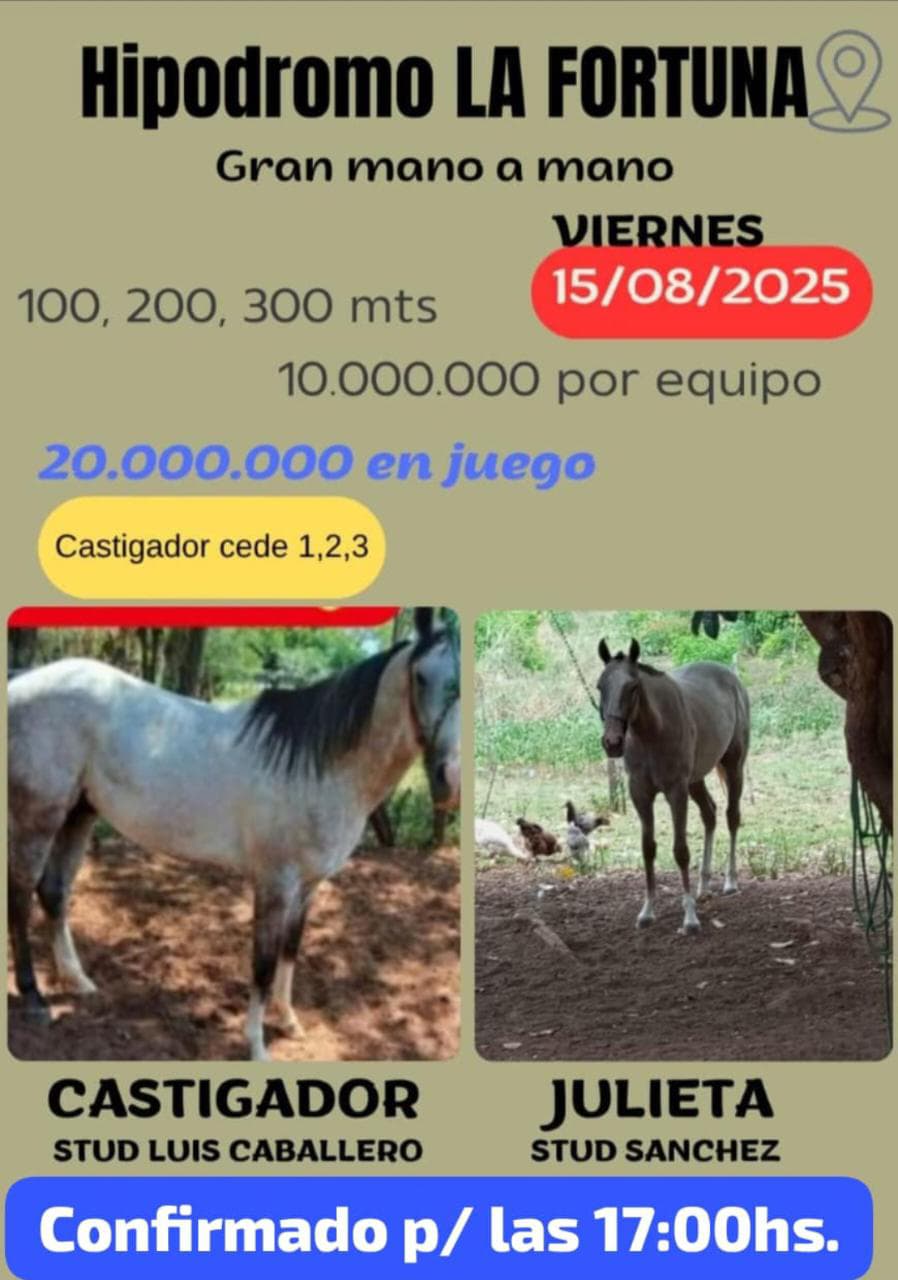 WhatsApp Image 2025-08-15 at 07.16.32