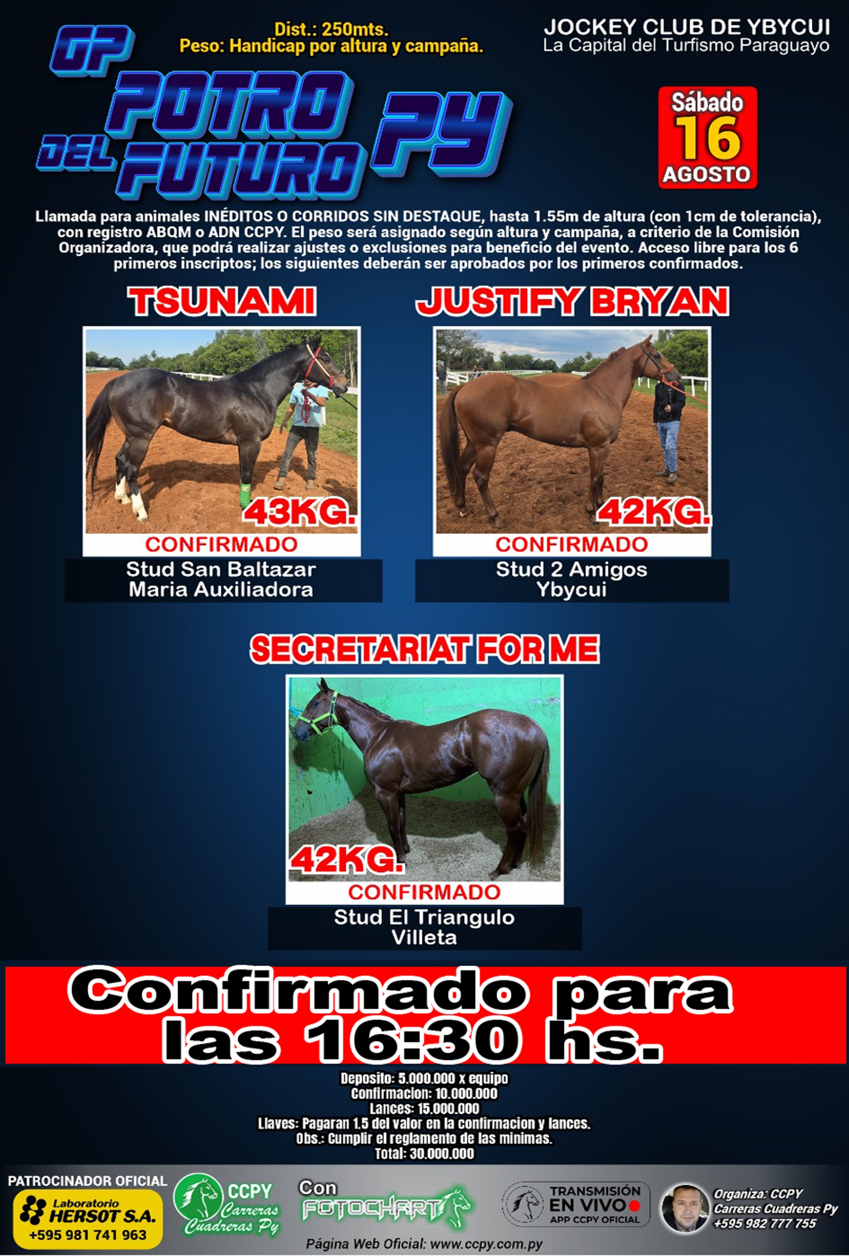 WhatsApp Image 2025-08-16 at 09.46.56