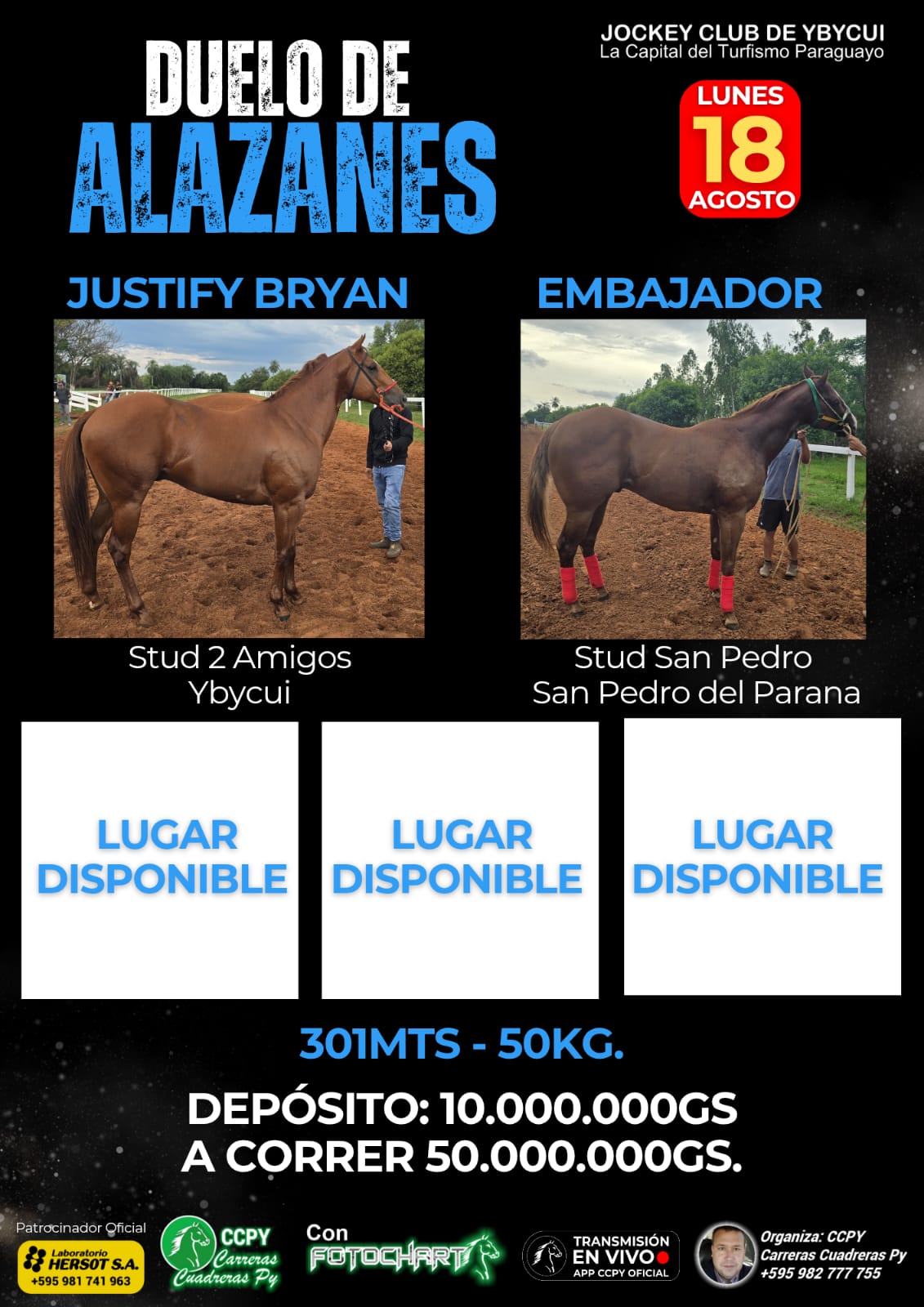 WhatsApp Image 2025-08-16 at 19.53.51 (1)