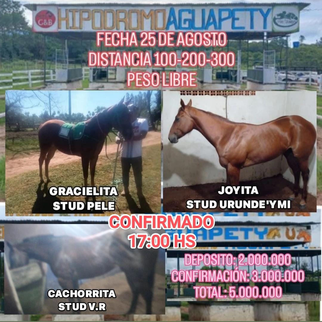 WhatsApp Image 2025-08-24 at 20.34.58