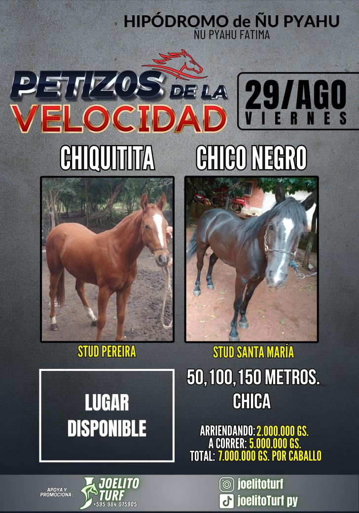 WhatsApp Image 2025-08-25 at 12.04.01