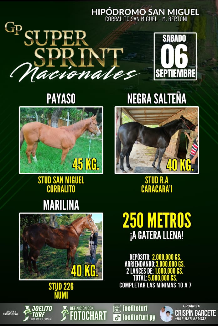 WhatsApp Image 2025-08-25 at 12.04.02 (1)