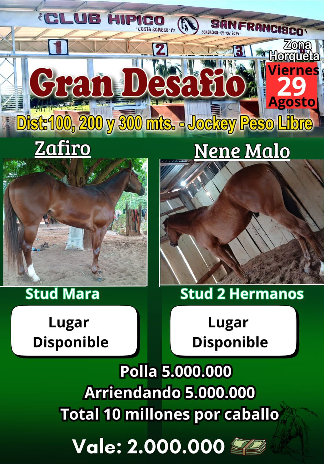 WhatsApp Image 2025-08-26 at 07.51.18