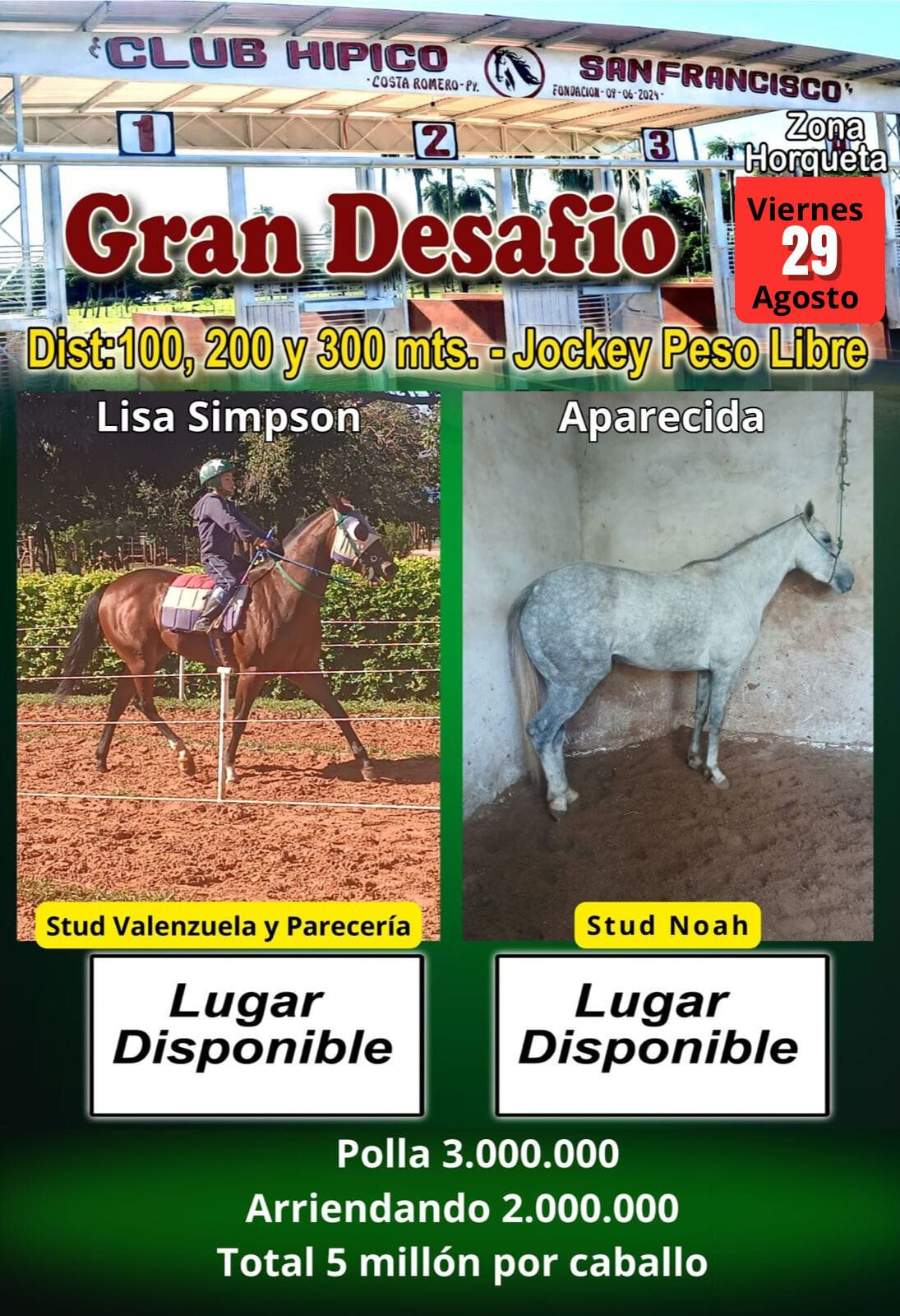 WhatsApp Image 2025-08-26 at 07.51.19 (4)