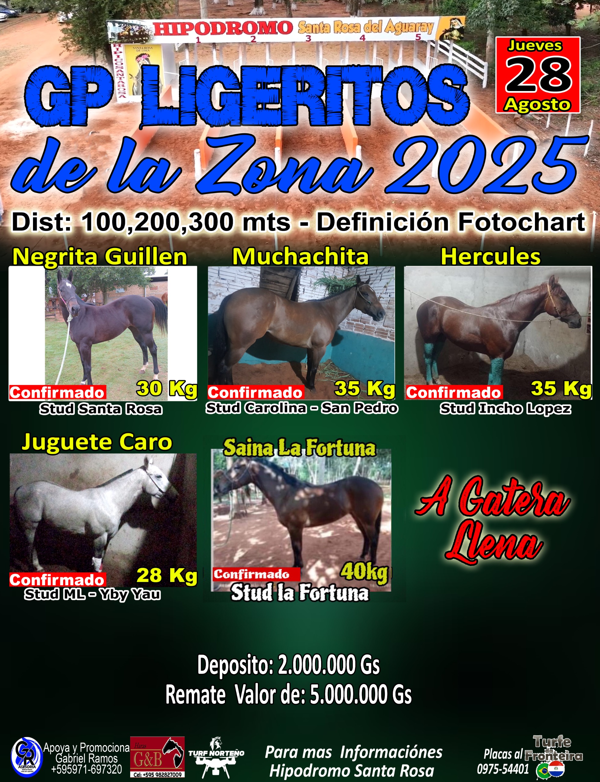 WhatsApp Image 2025-08-27 at 08.01.33