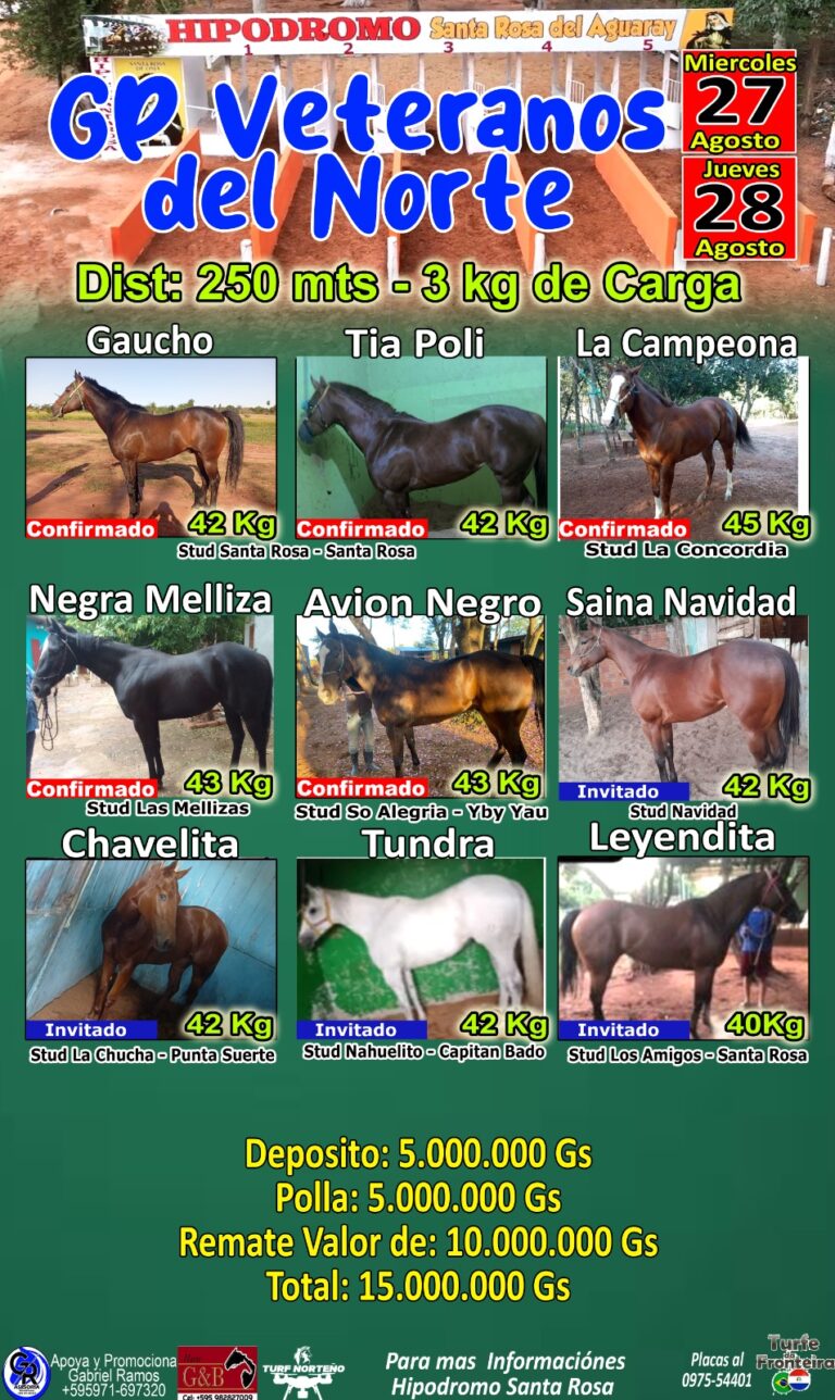 WhatsApp Image 2025-08-27 at 08.01.34