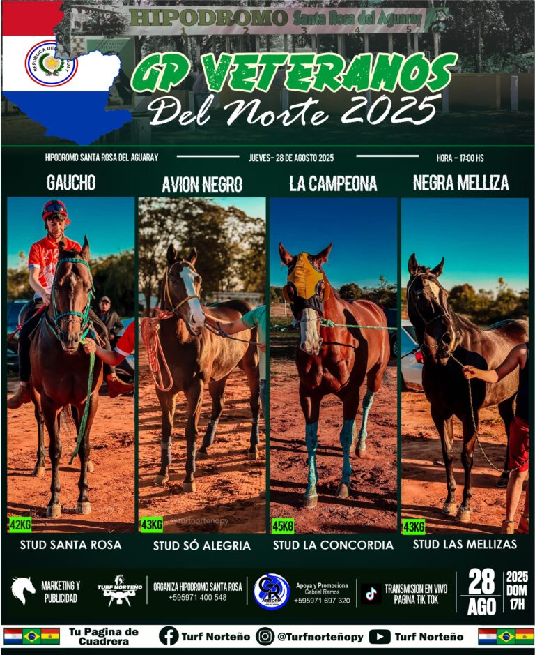 WhatsApp Image 2025-08-28 at 07.46.30