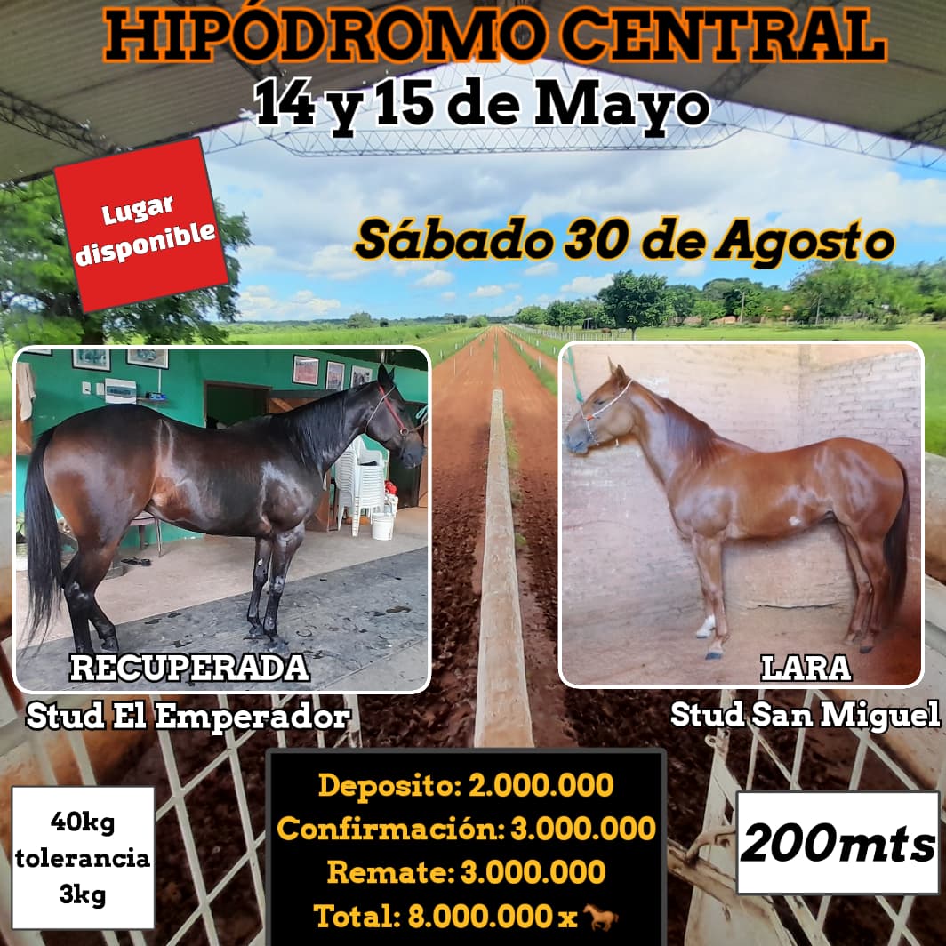 WhatsApp Image 2025-08-28 at 09.26.26