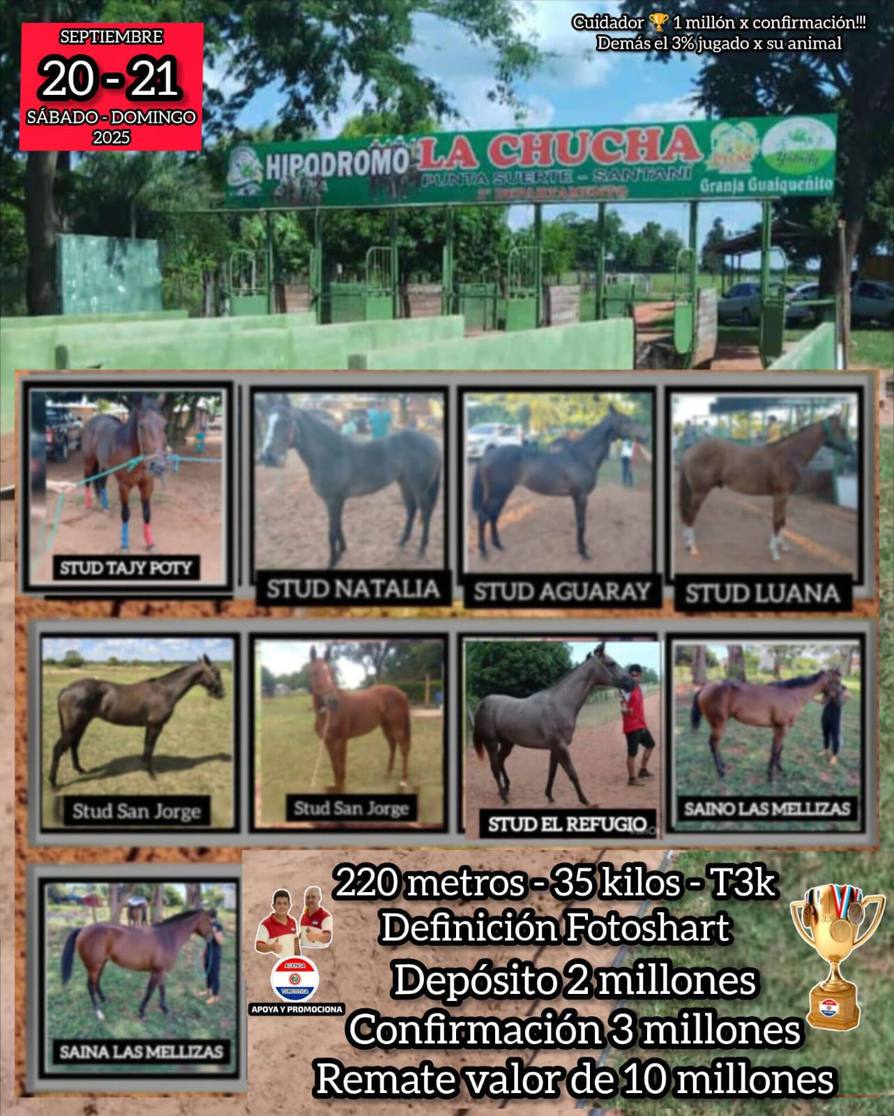 WhatsApp Image 2025-09-03 at 14.07.21 (1)