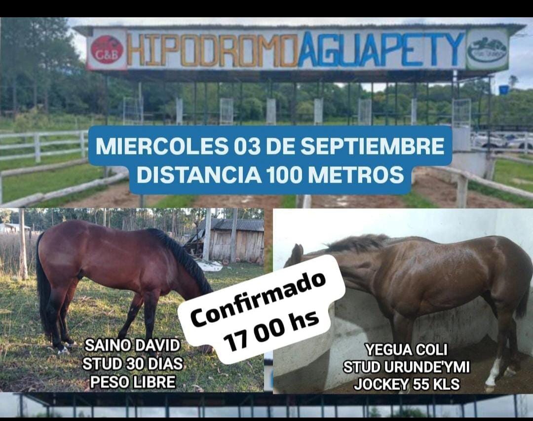 WhatsApp Image 2025-09-03 at 14.39.28