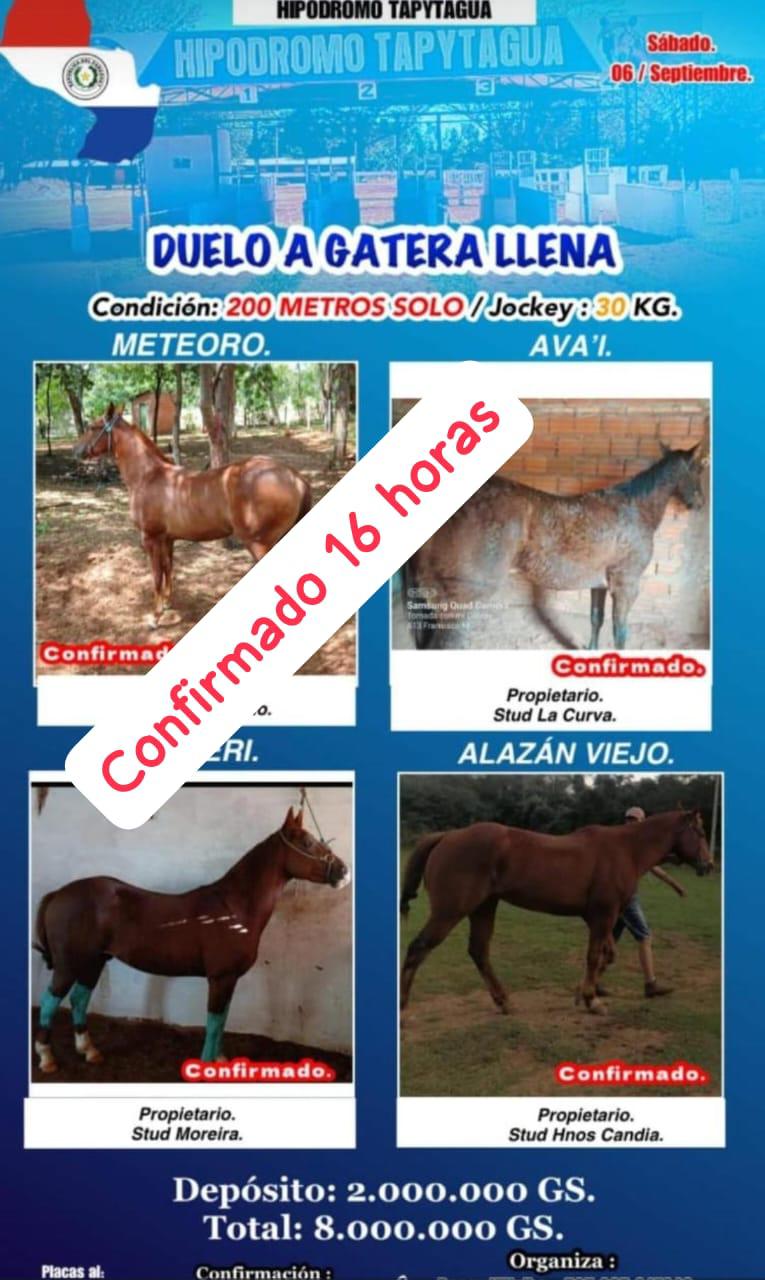 WhatsApp Image 2025-09-06 at 09.30.25 (2)