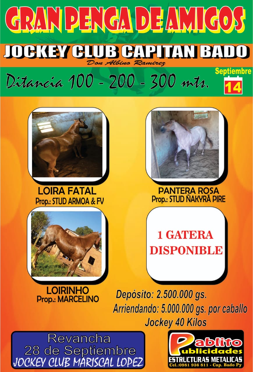 WhatsApp Image 2025-09-07 at 17.59.07 (1)