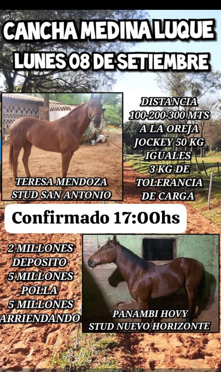 WhatsApp Image 2025-09-08 at 08.11.13 (1)