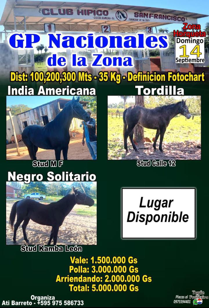 WhatsApp Image 2025-09-08 at 10.56.24