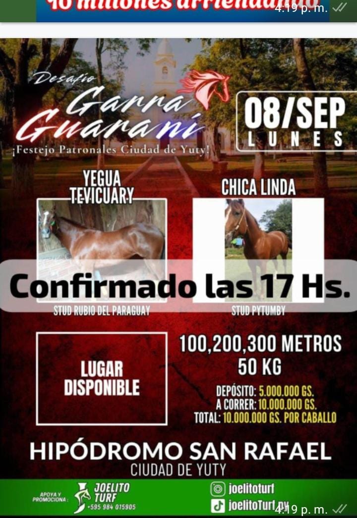 WhatsApp Image 2025-09-08 at 16.38.19