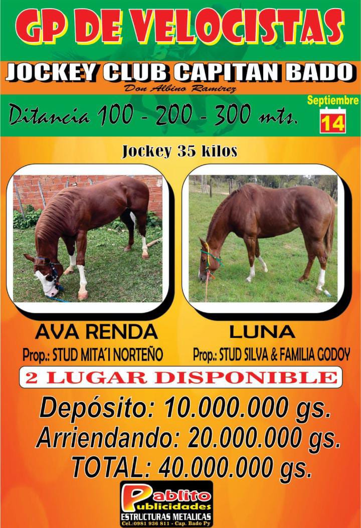 WhatsApp Image 2025-09-09 at 11.11.06