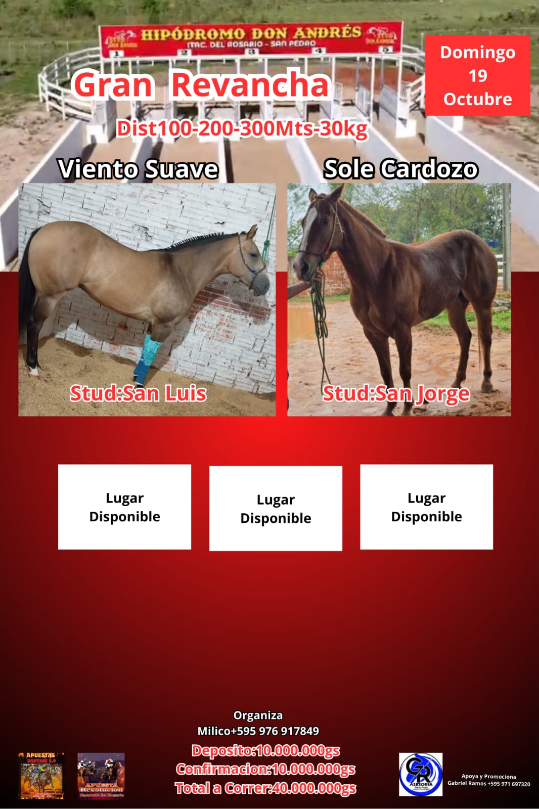 WhatsApp Image 2025-09-10 at 09.56.37