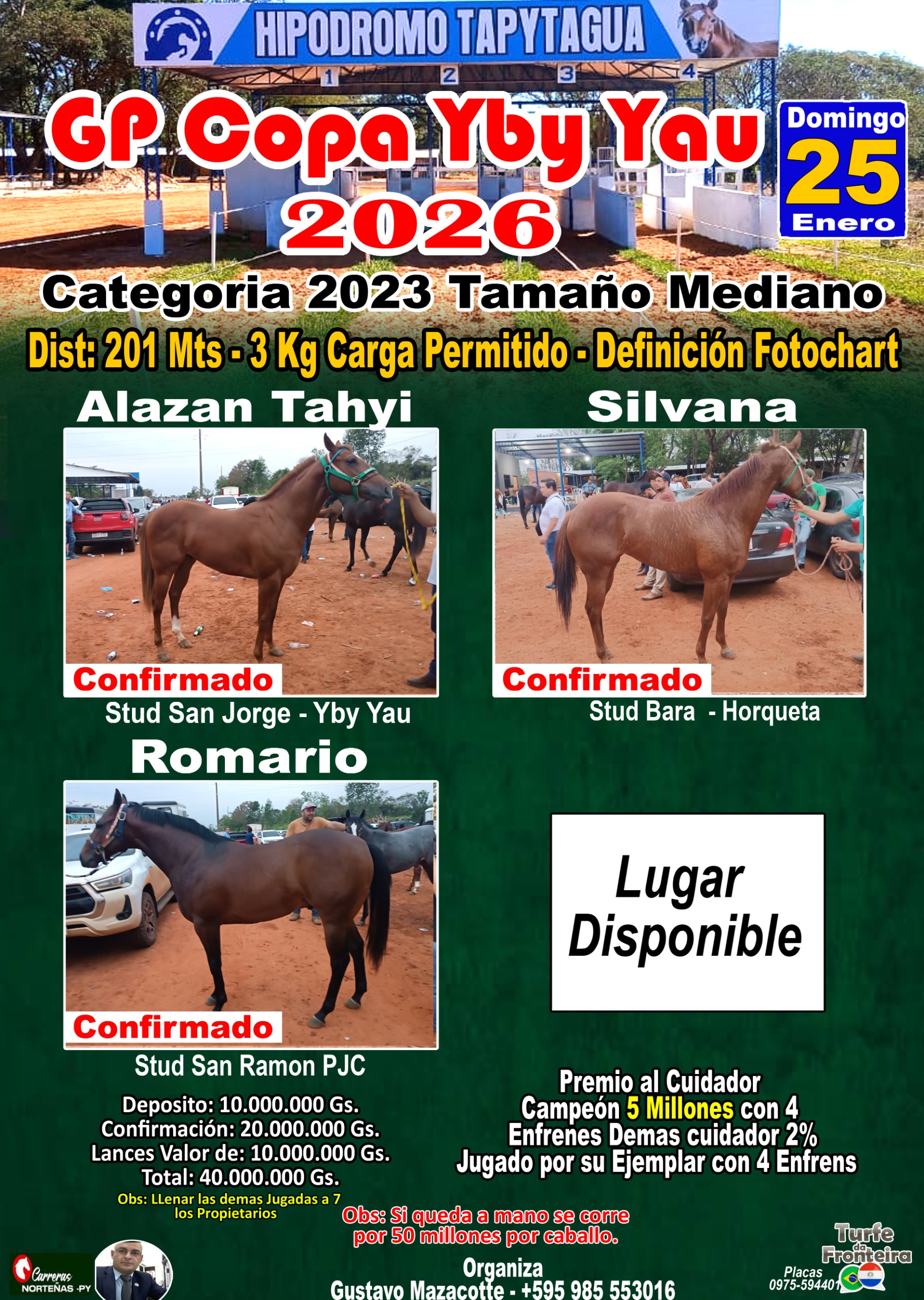 WhatsApp Image 2025-09-11 at 13.38.14