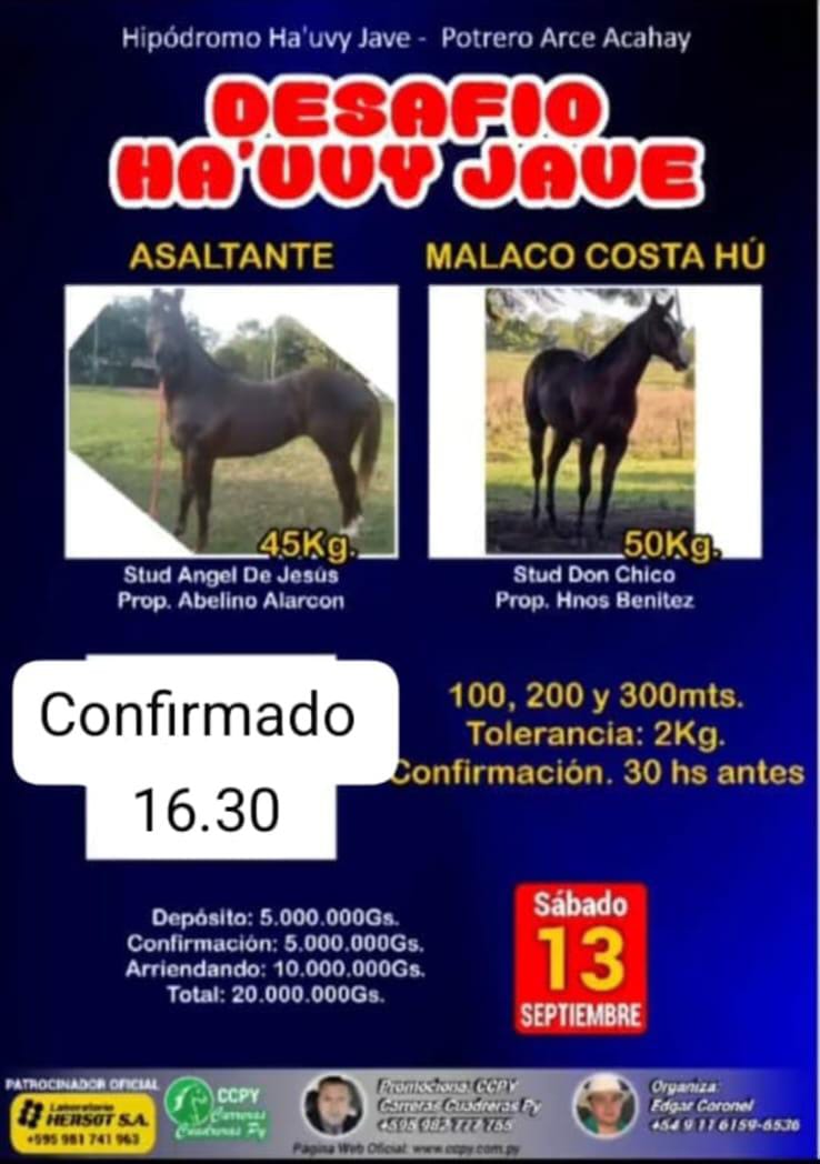 WhatsApp Image 2025-09-11 at 14.04.21 (1)