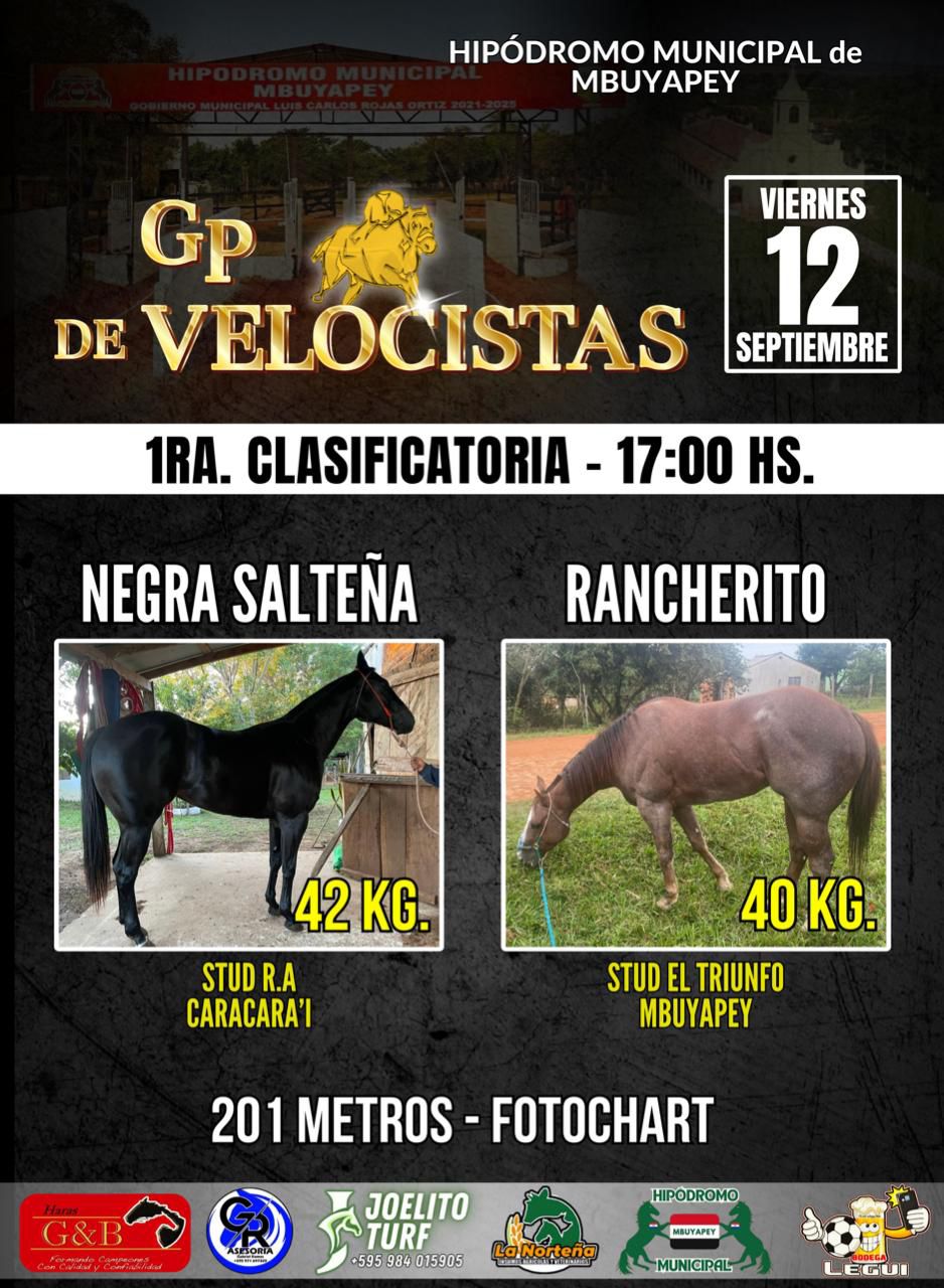 WhatsApp Image 2025-09-12 at 06.39.30