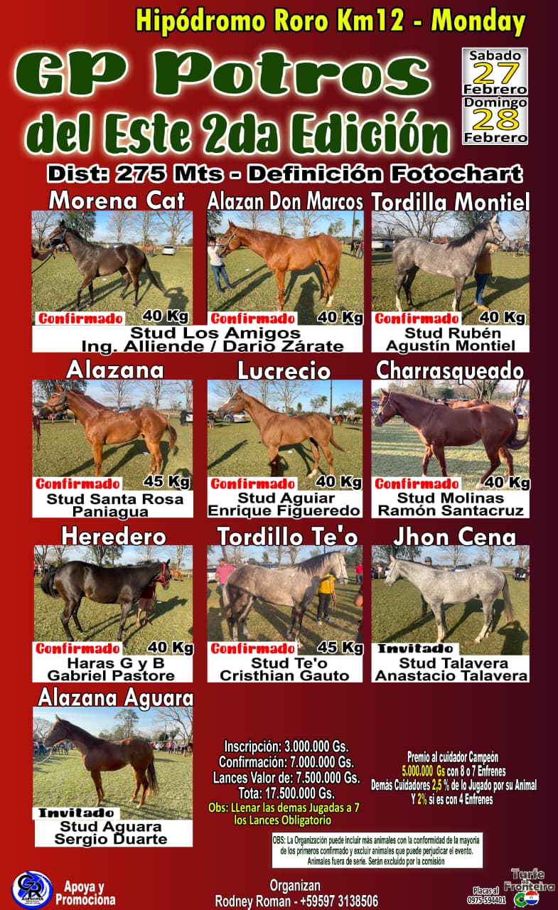 WhatsApp Image 2025-09-13 at 15.17.57